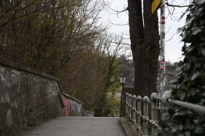 DSC_7031 (Large).JPG